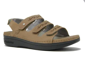 Cambrian Women's Delphi 3 Walking Sandals- Taupe