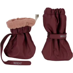 Rain Booties Coco - fig